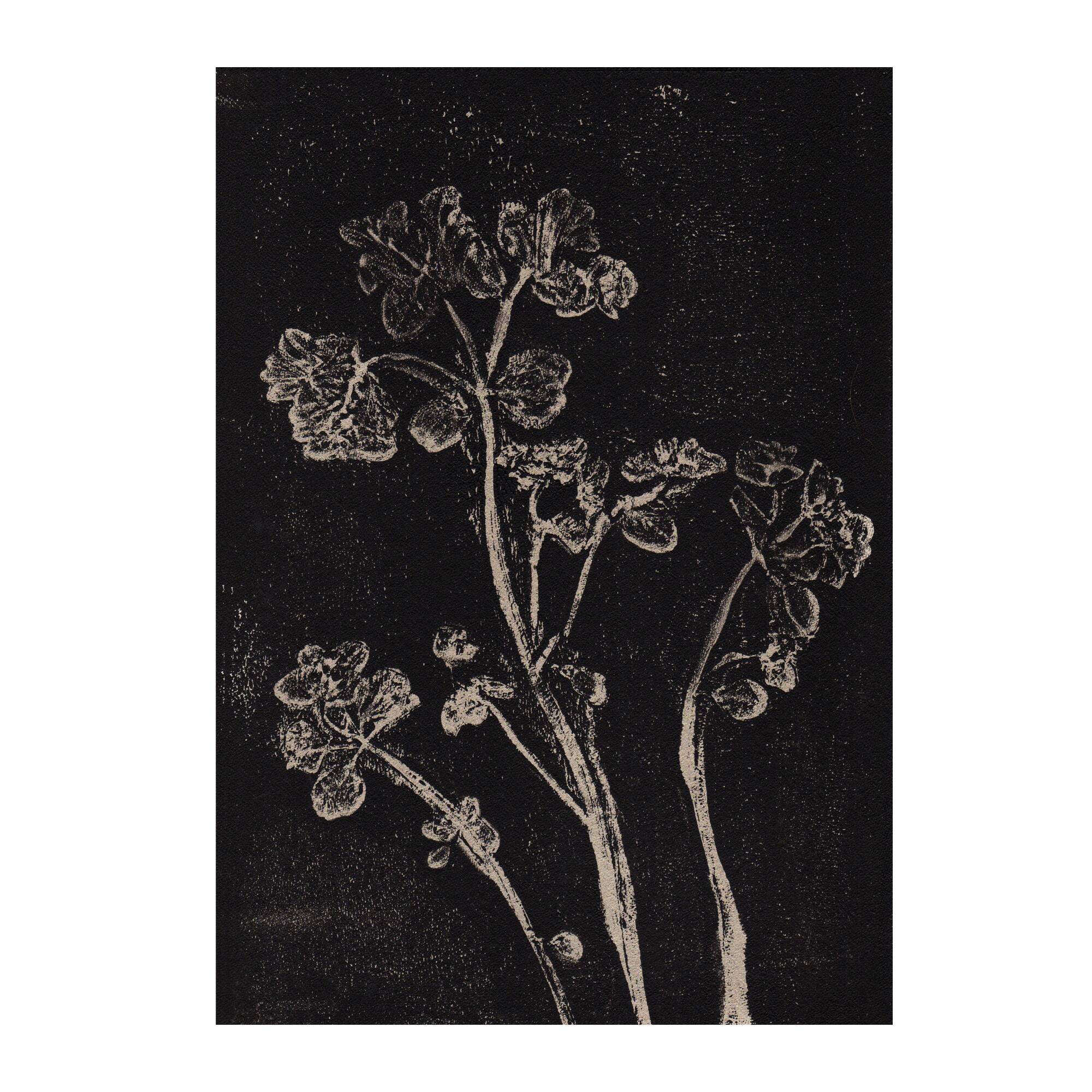 Set of 8 original works on paper - signed Eawy