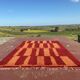 Vintage Moroccan Berber rug red orange 300x200 cm – handmade wool