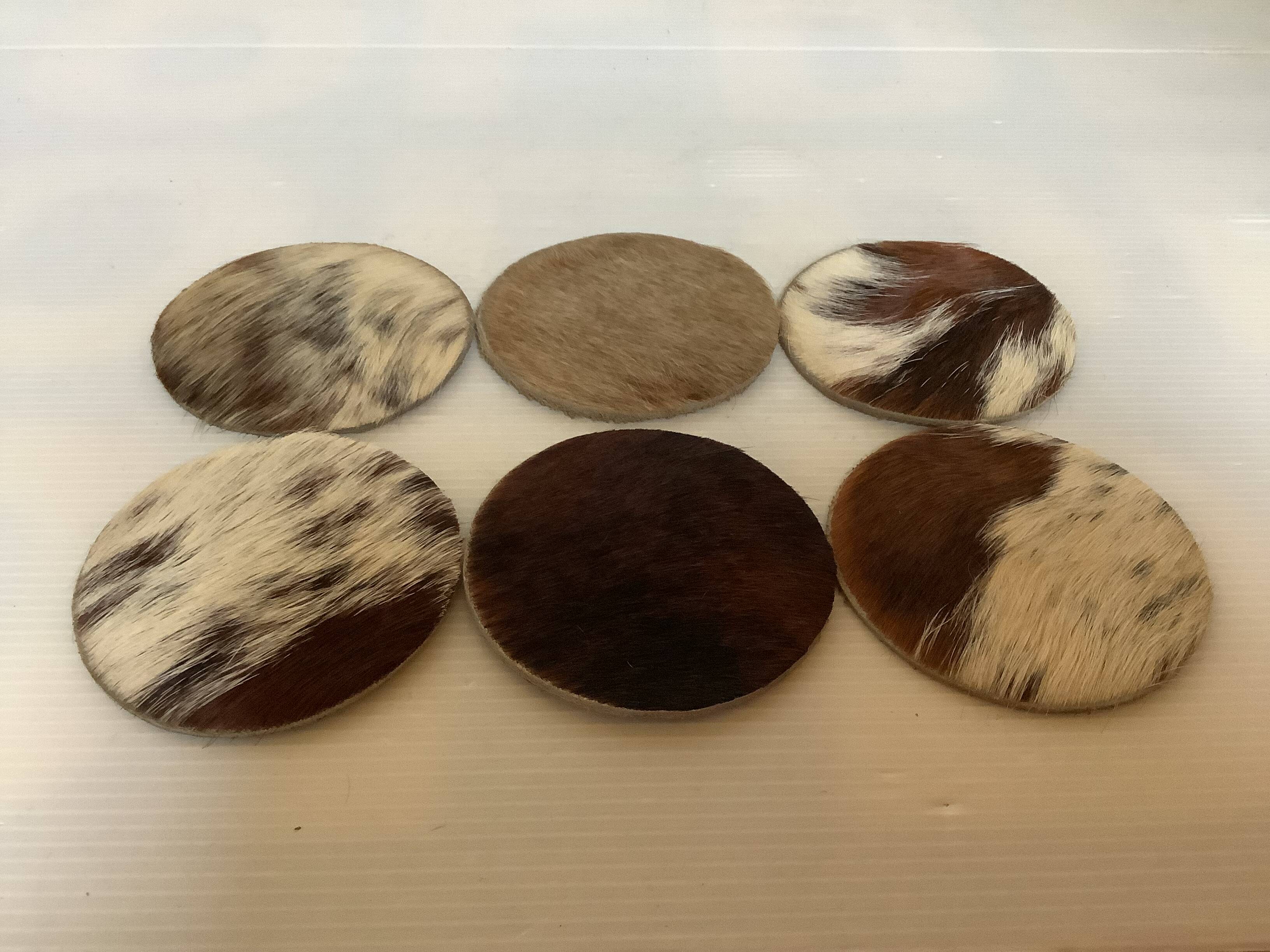 Six cow coasters