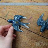 Swallows