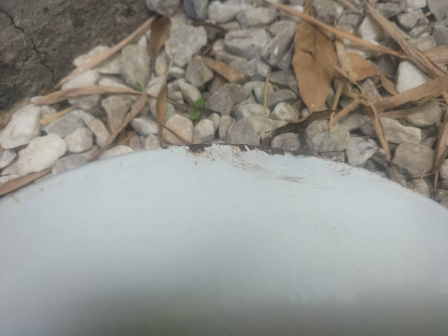 2 enamelled sheet metal suspensions