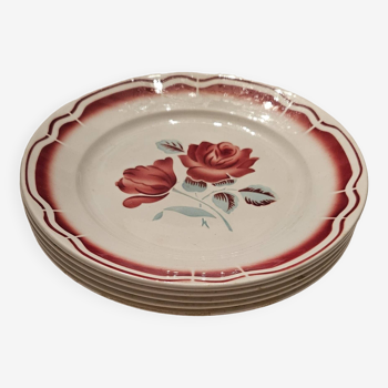Set of 5 earthenware dinner plates with red rose decoration