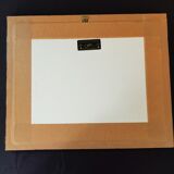 Fly frame