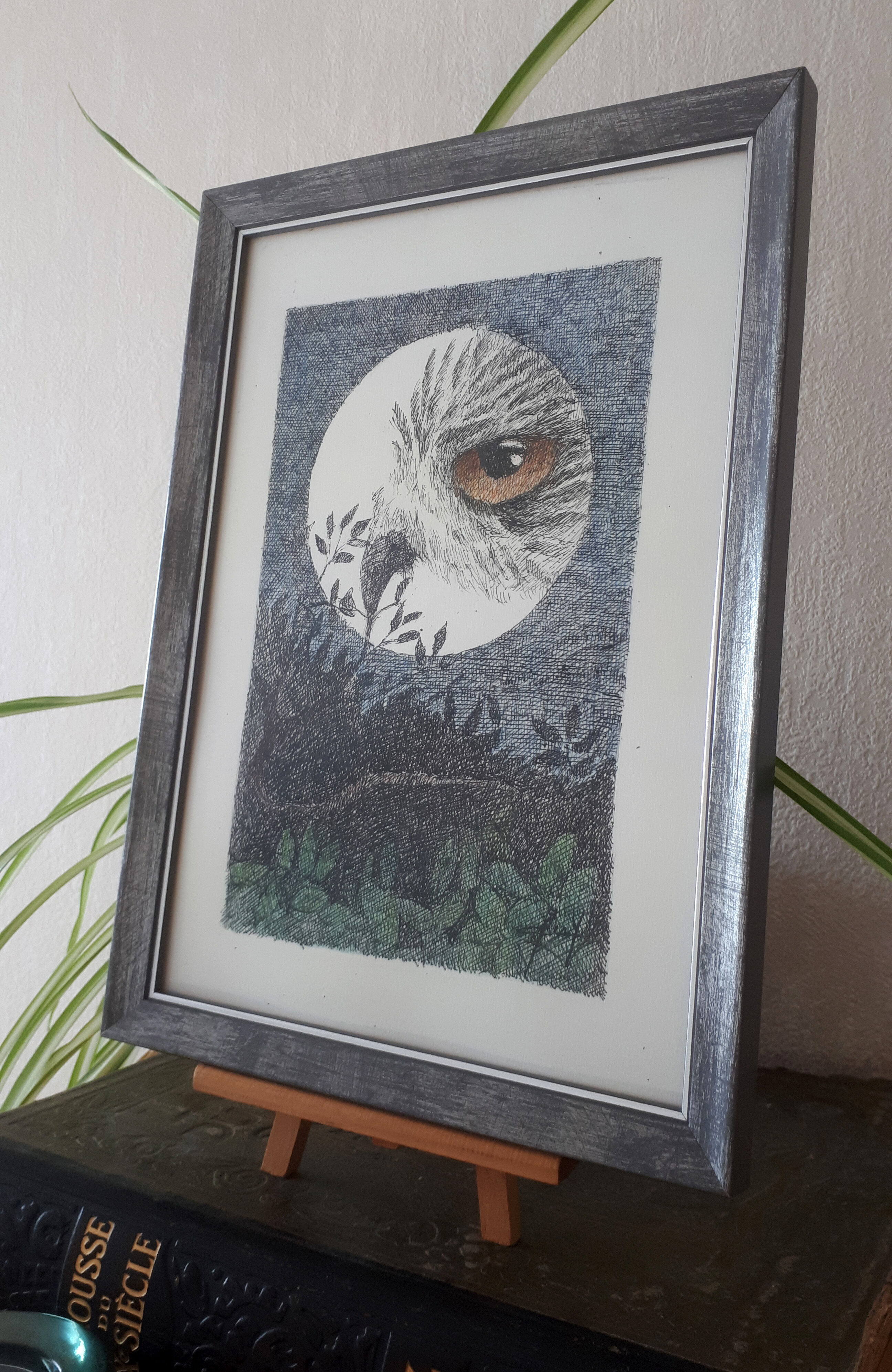 "oiseau de nuit" encre de chine et crayon couleur sur papier.