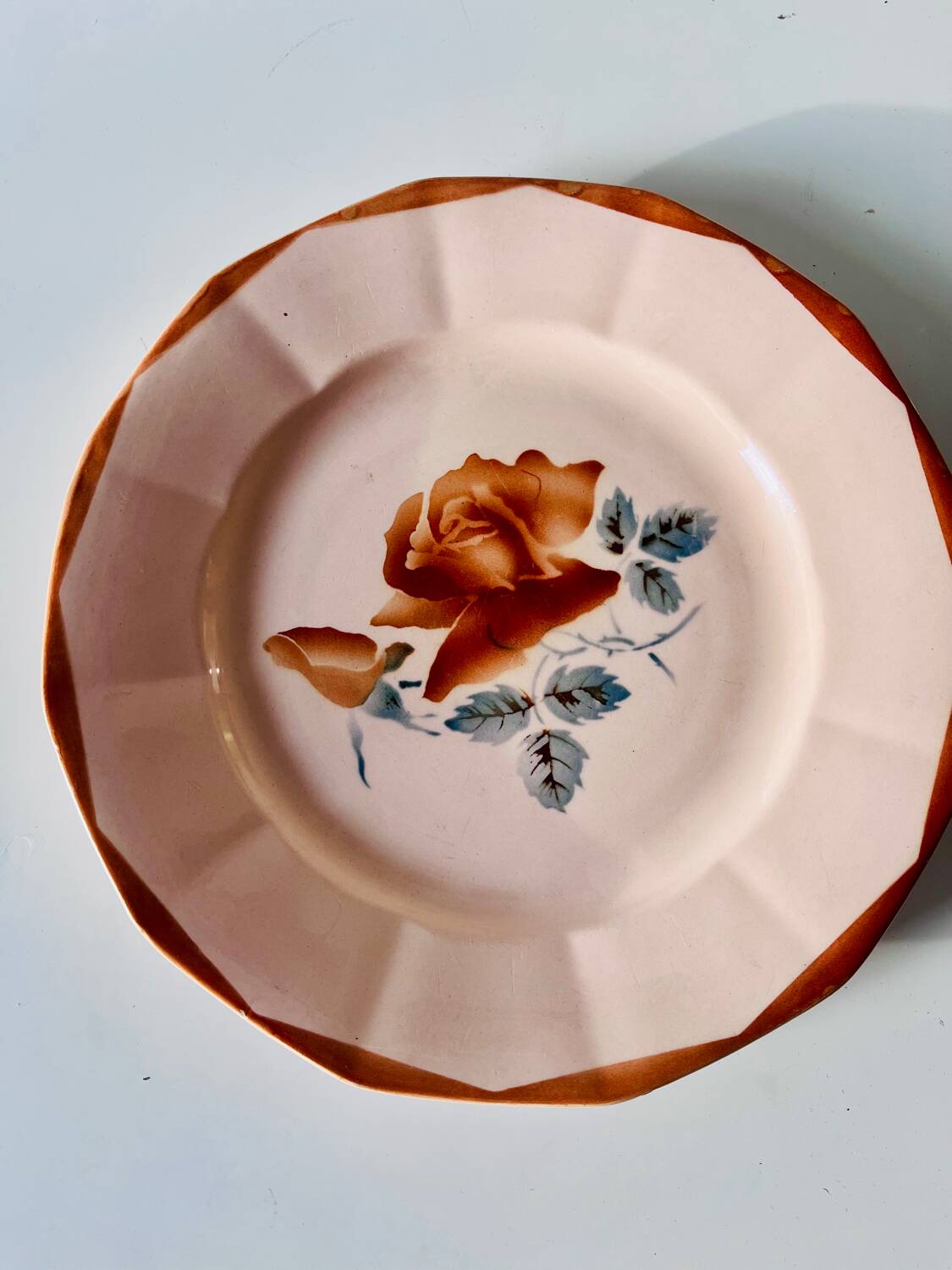 Set of 2 antique Sarreguemines earthenware plates with floral decoration