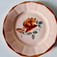 Set of 2 antique Sarreguemines earthenware plates with floral decoration