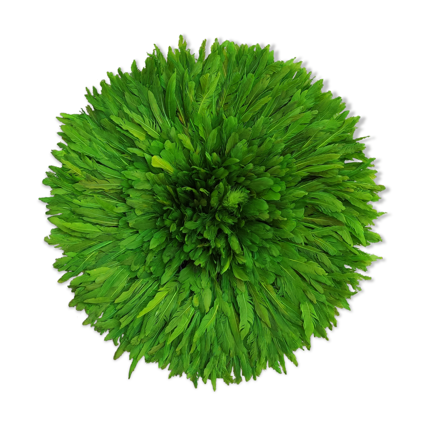 Juju olive green 50cm