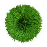 Juju olive green 50cm