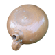 Toad gourd