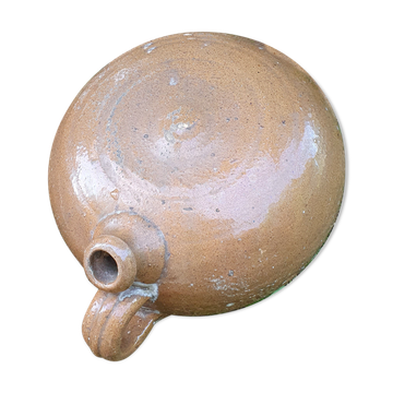 Toad gourd