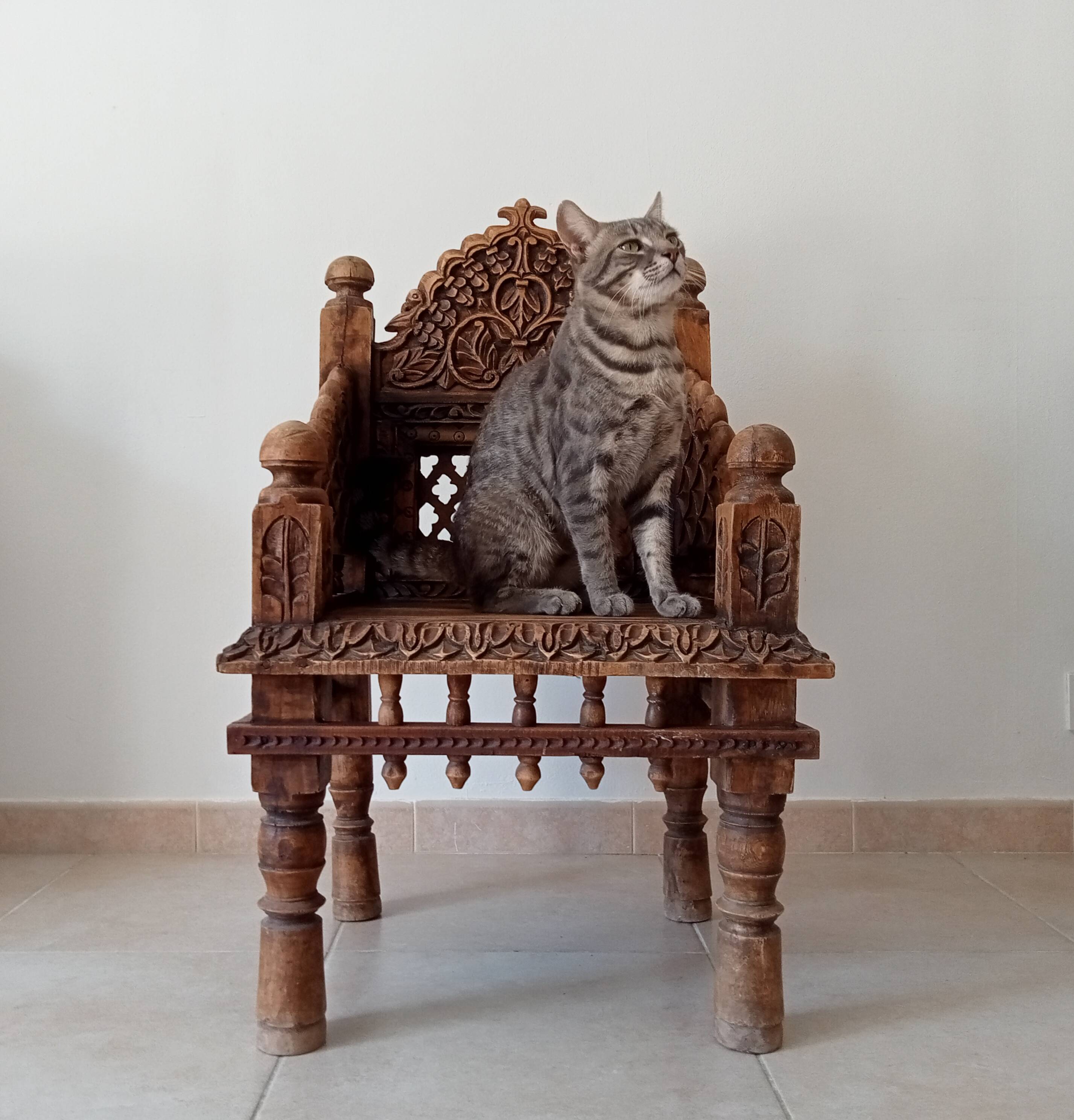 Fauteuil Ancien Pidha Rajasthan XIXeme en Palissandre