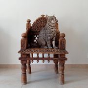 Antique Pidha Armchair from Rajasthan, 19th Century in Rosewood