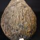 Chantal Ferroussier enamelled ceramic sheep signed early 21st century