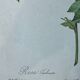 Botanical plate Frankfurt Rose 40.4x29.9cm