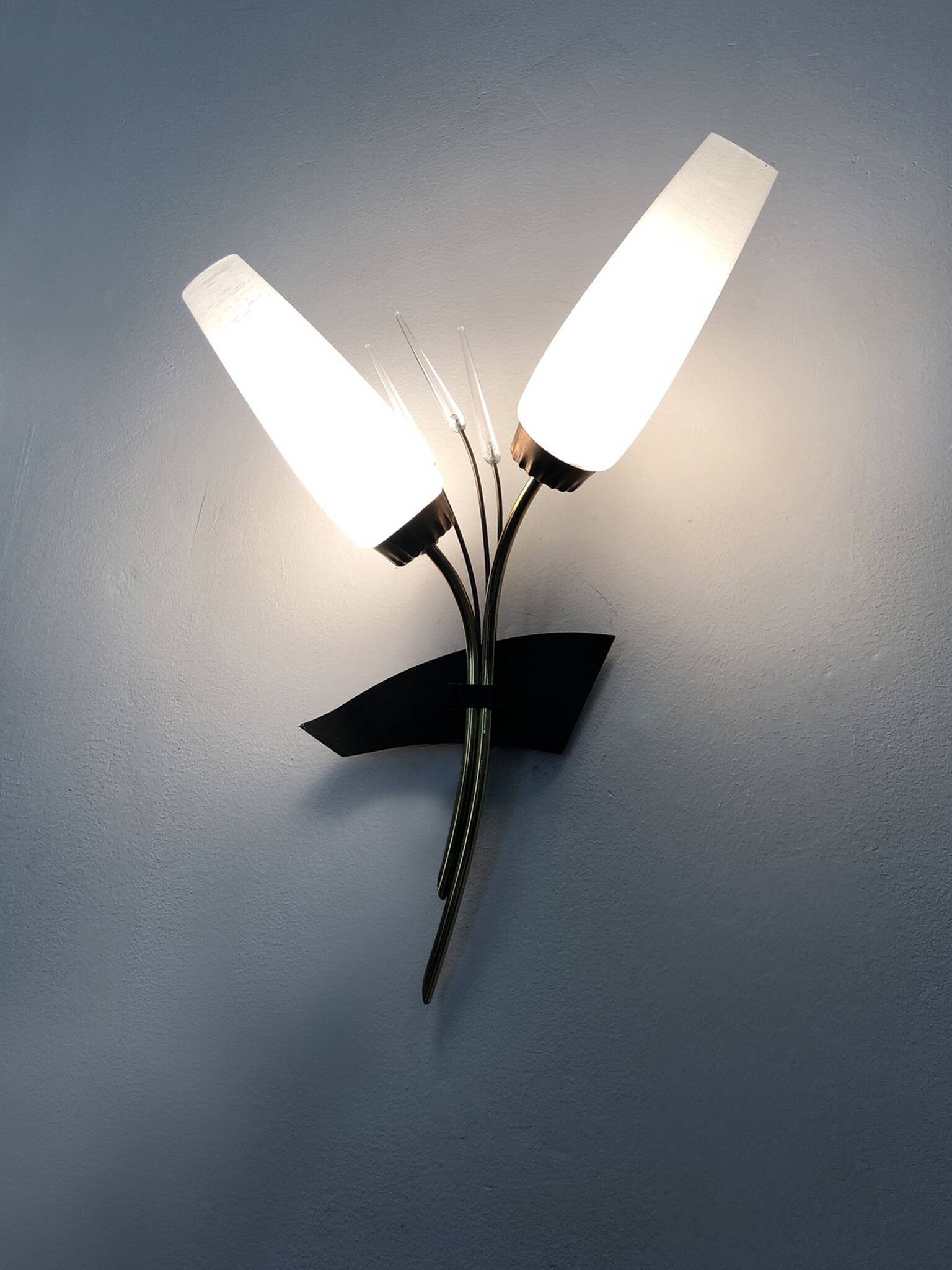 Applique murale vintage brin de blé en laiton à tulipe en verre, Années 60