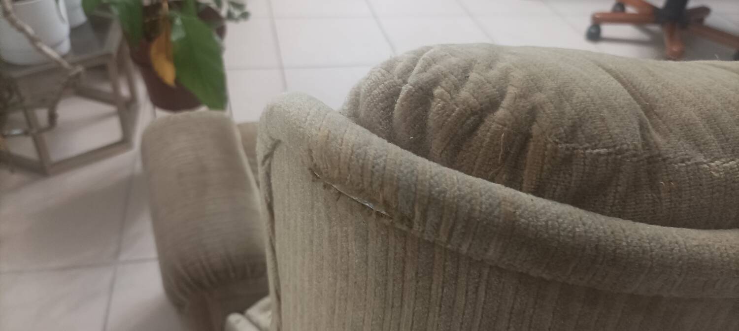 Fauteuil orchidée Michel Cadestin