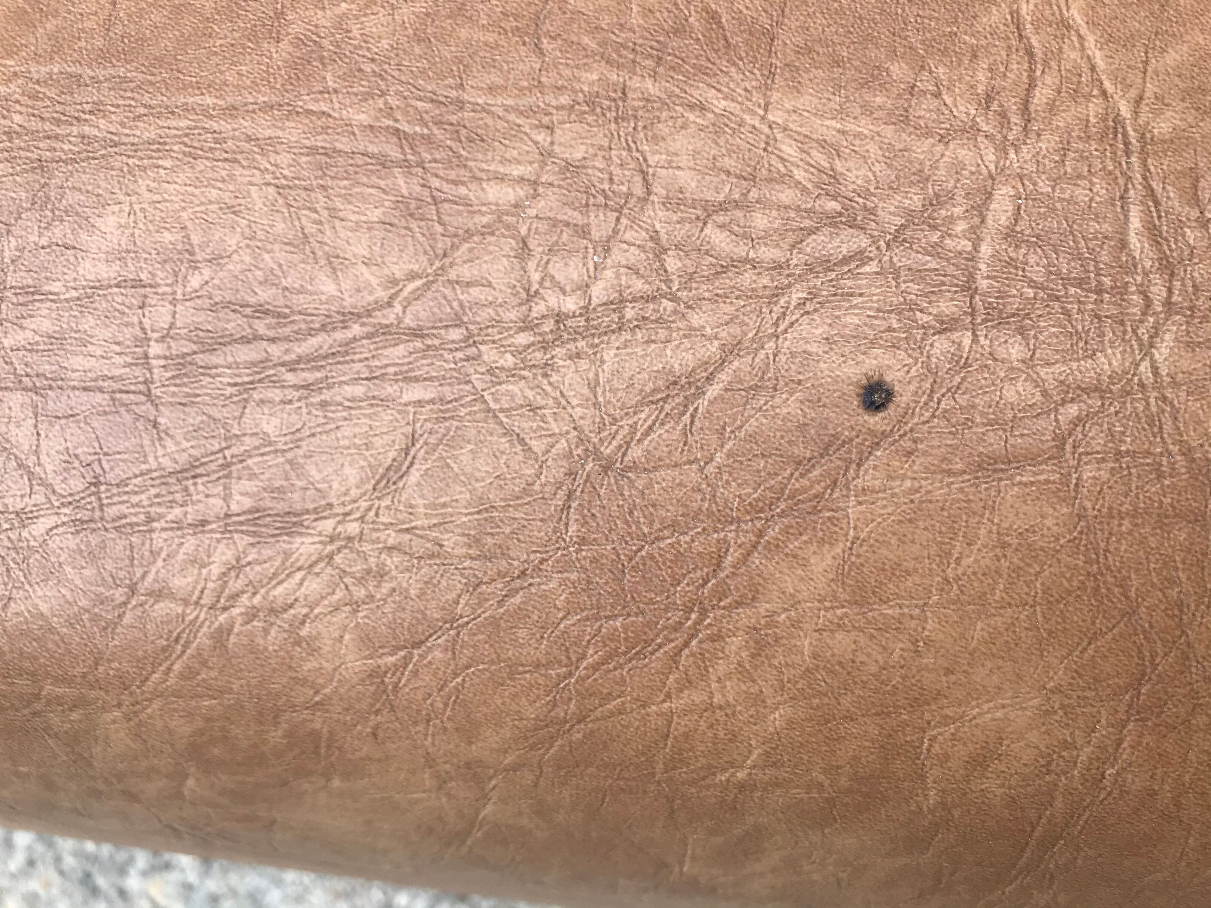 Skai bistro bench 1970