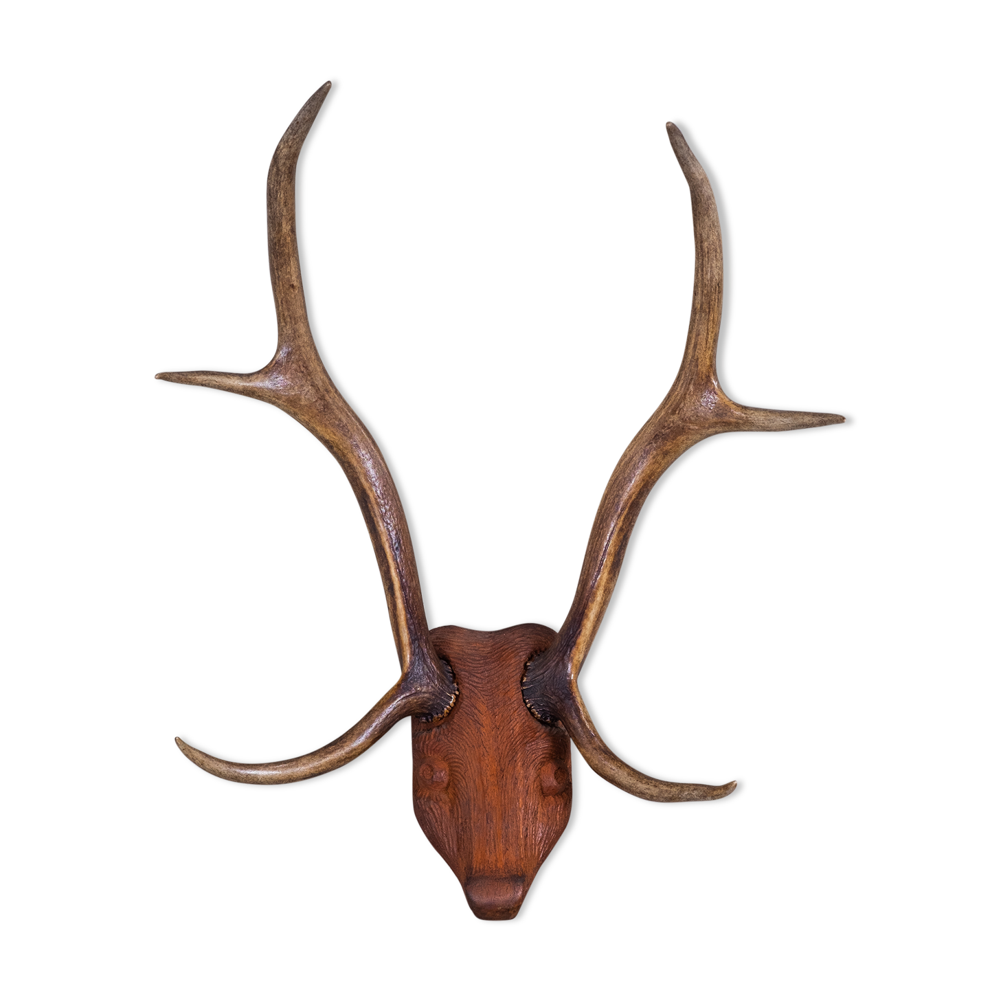 Antlers on carved wooden head, Danish design, 1960s