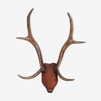 Antlers on carved wooden head, Danish design, 1960s