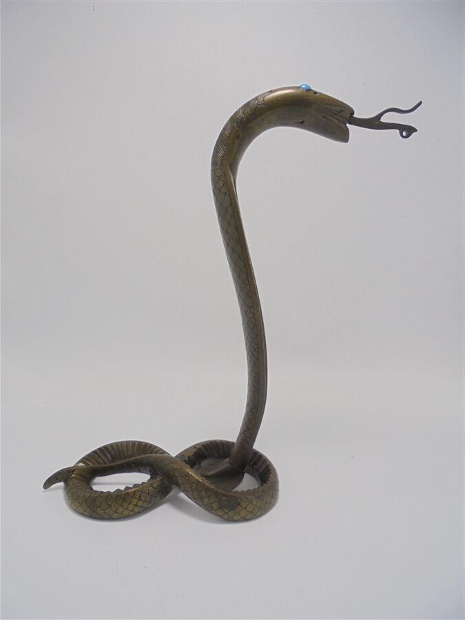 Brass snake