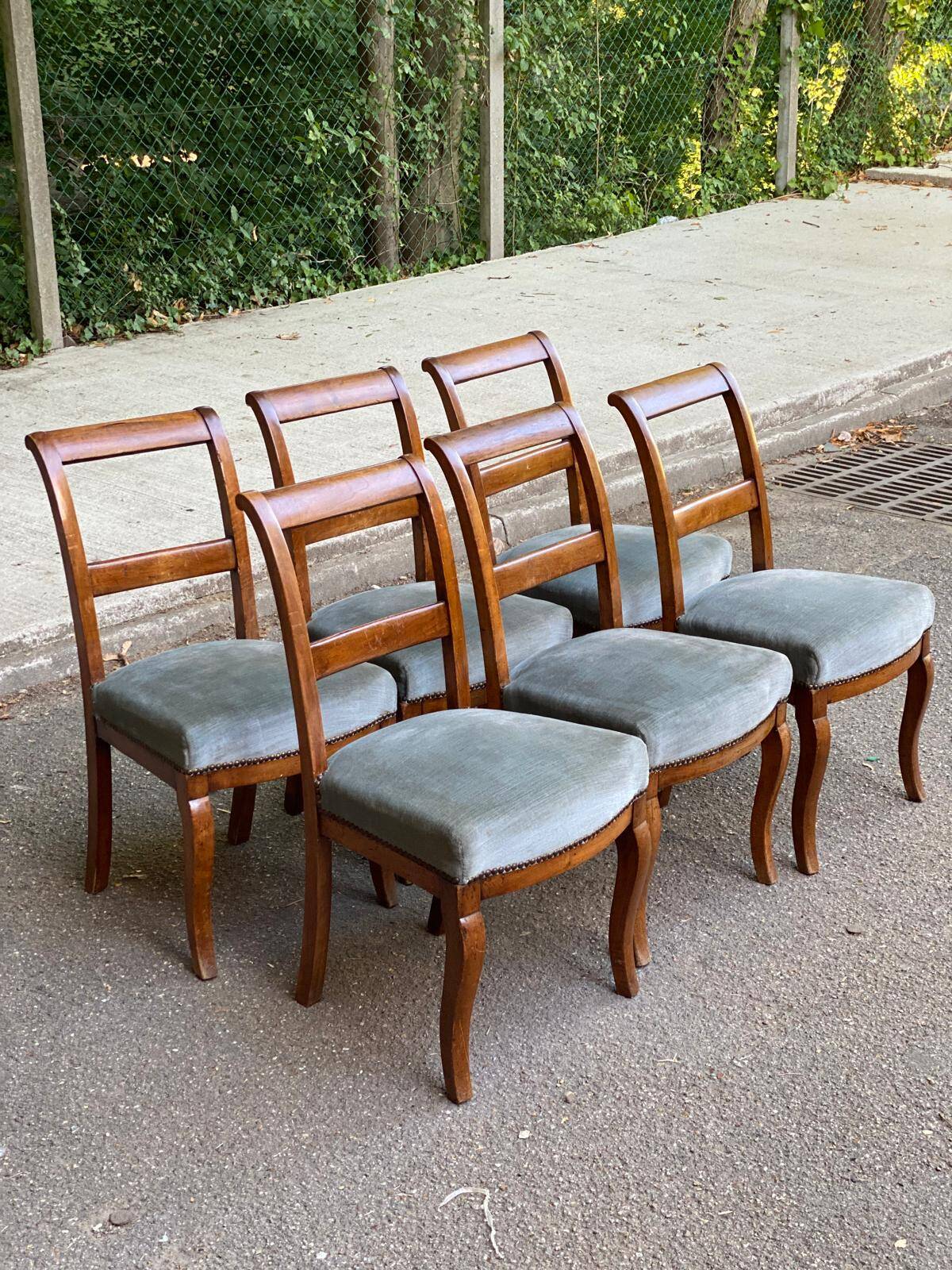 6 Biedermeier chairs in solid walnut and blue velvet, 1840