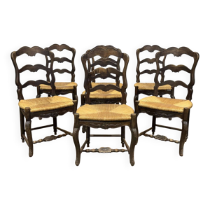 Suite 7 chaises - louis