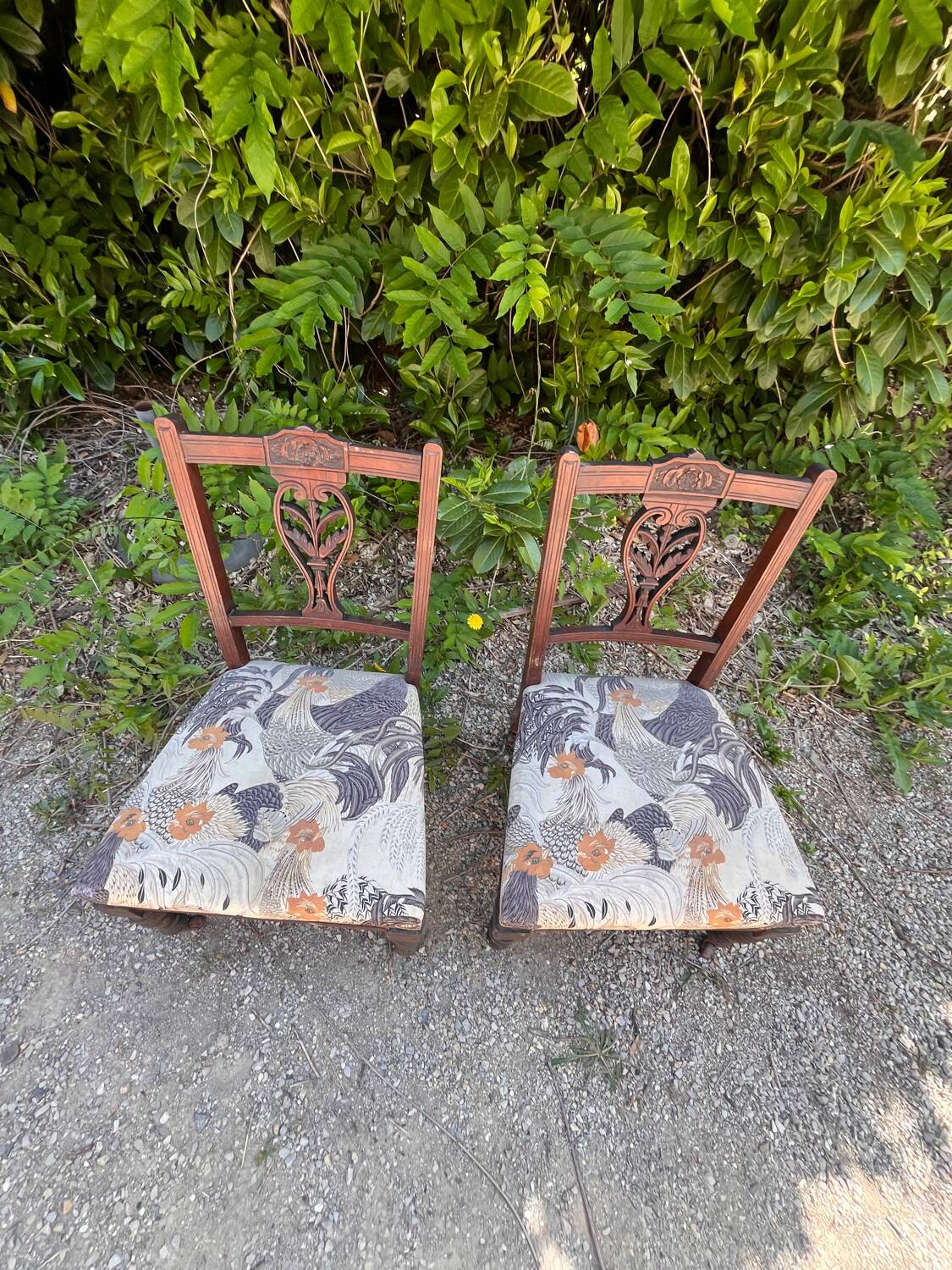Pair of low chairs
