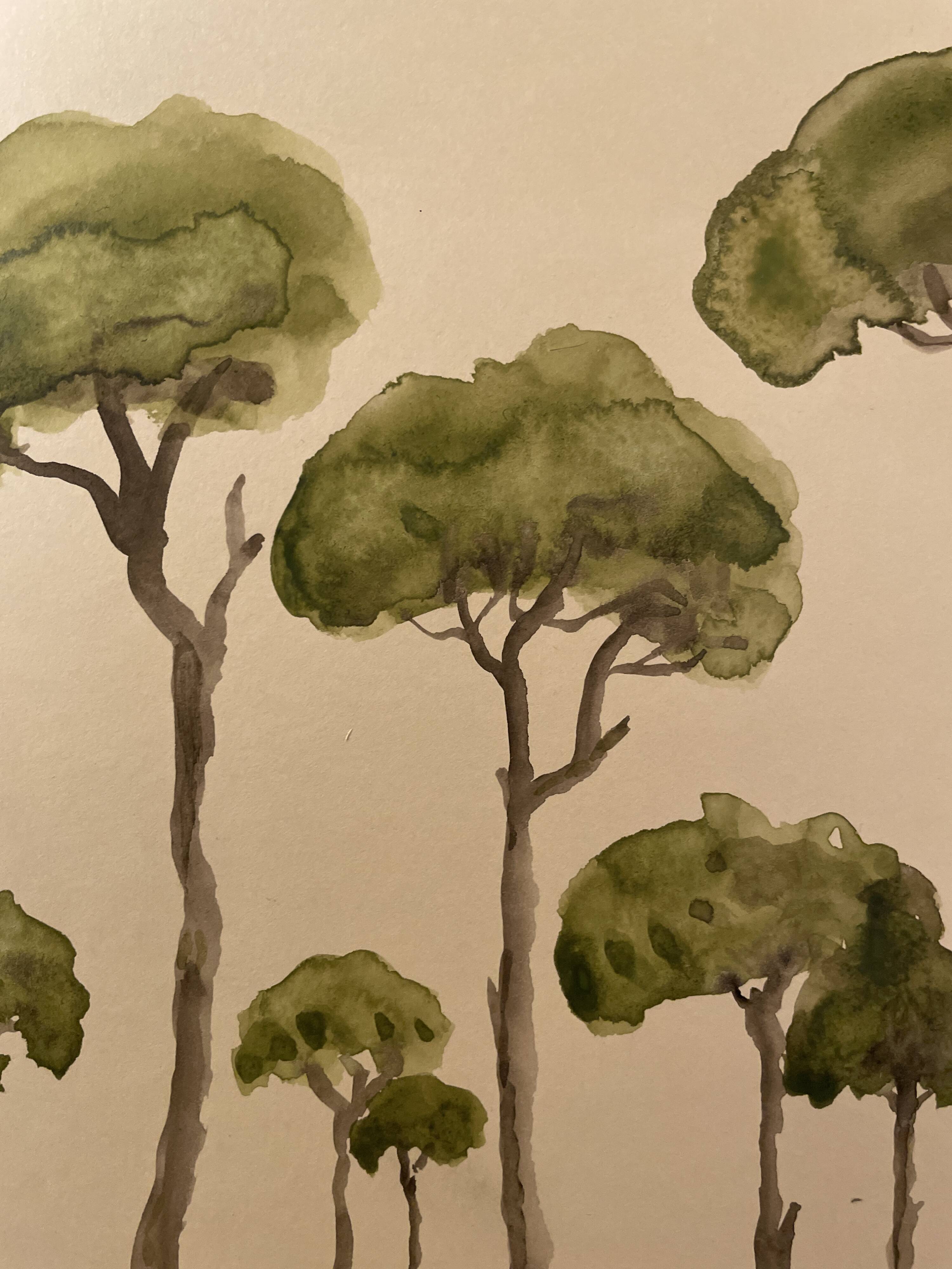 Tableau signé aquarelle « pinède du Lubéron »