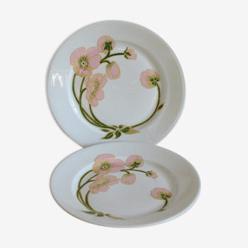 Lot de 2 assiettes perrier jouët fleurs belle epoque en porcelaine