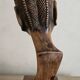 Bust of an African woman in precious wood