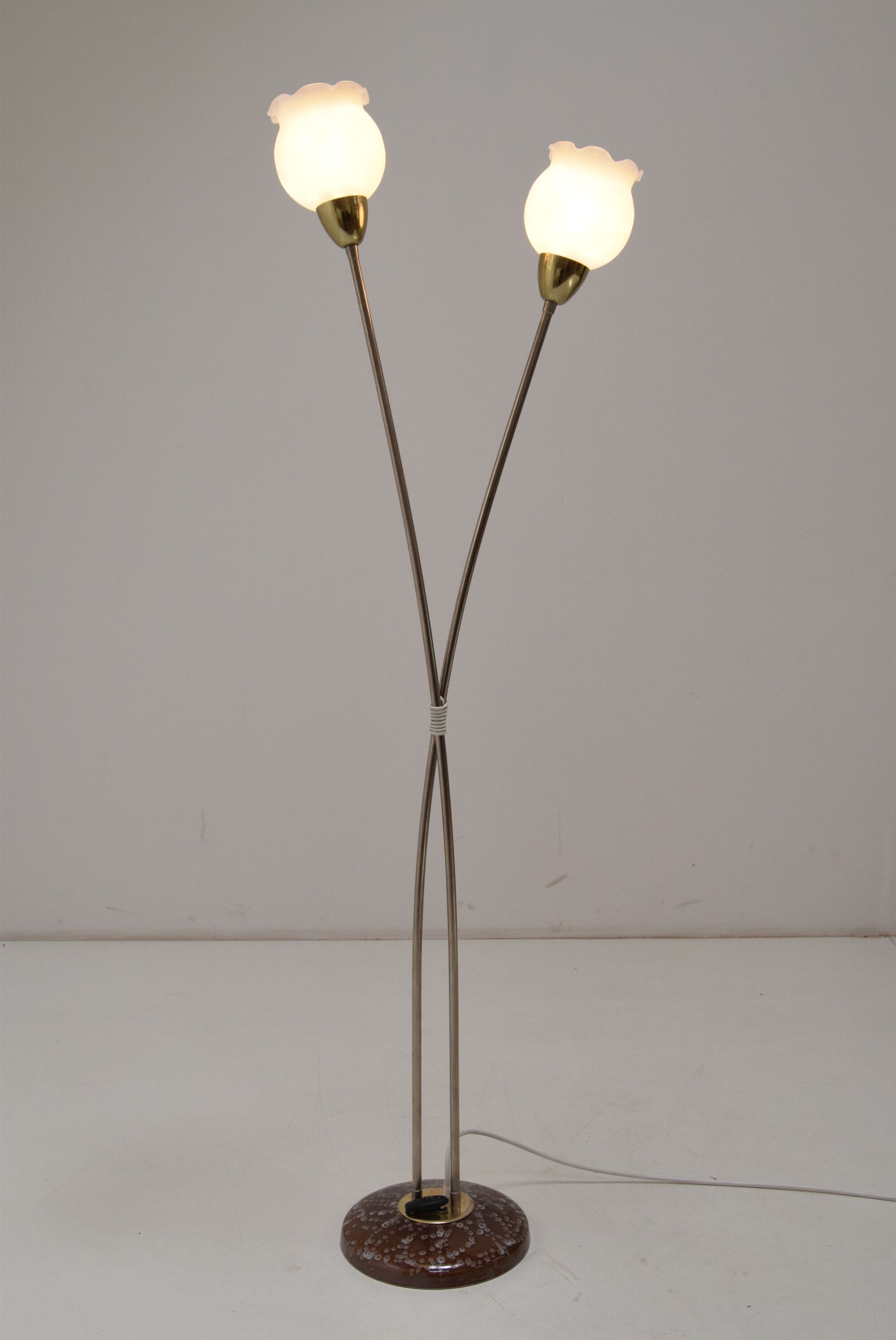 Mid-century Floor Lamp by Kamenicky  Senov,1960’s.