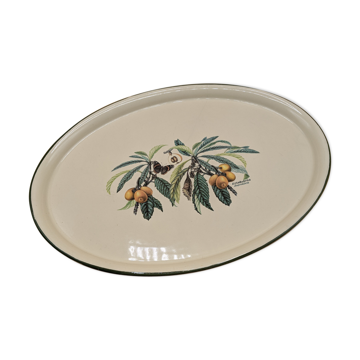 flat / vintage tray, botanical décor