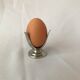 Vintage stainless steel shell 4 available letang and remy