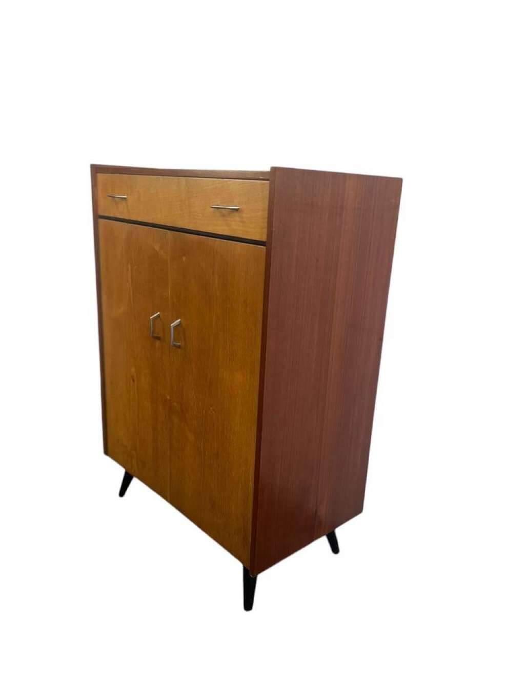VINTAGE CABINET / SHELVING CABINET / SHOE CABINET