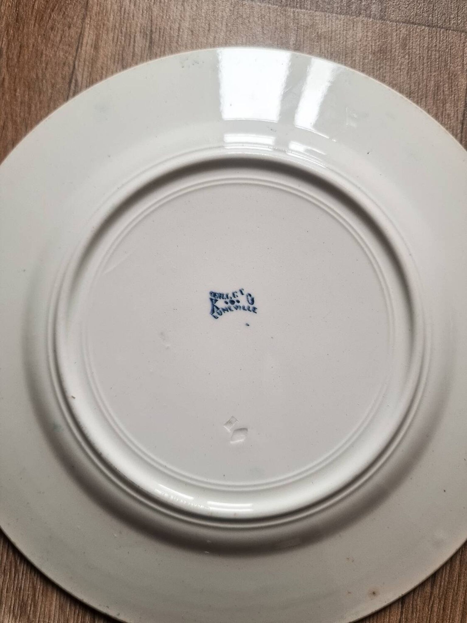 5 iron earthenware flat plates, KG Lunéville, Oeillet, 1900