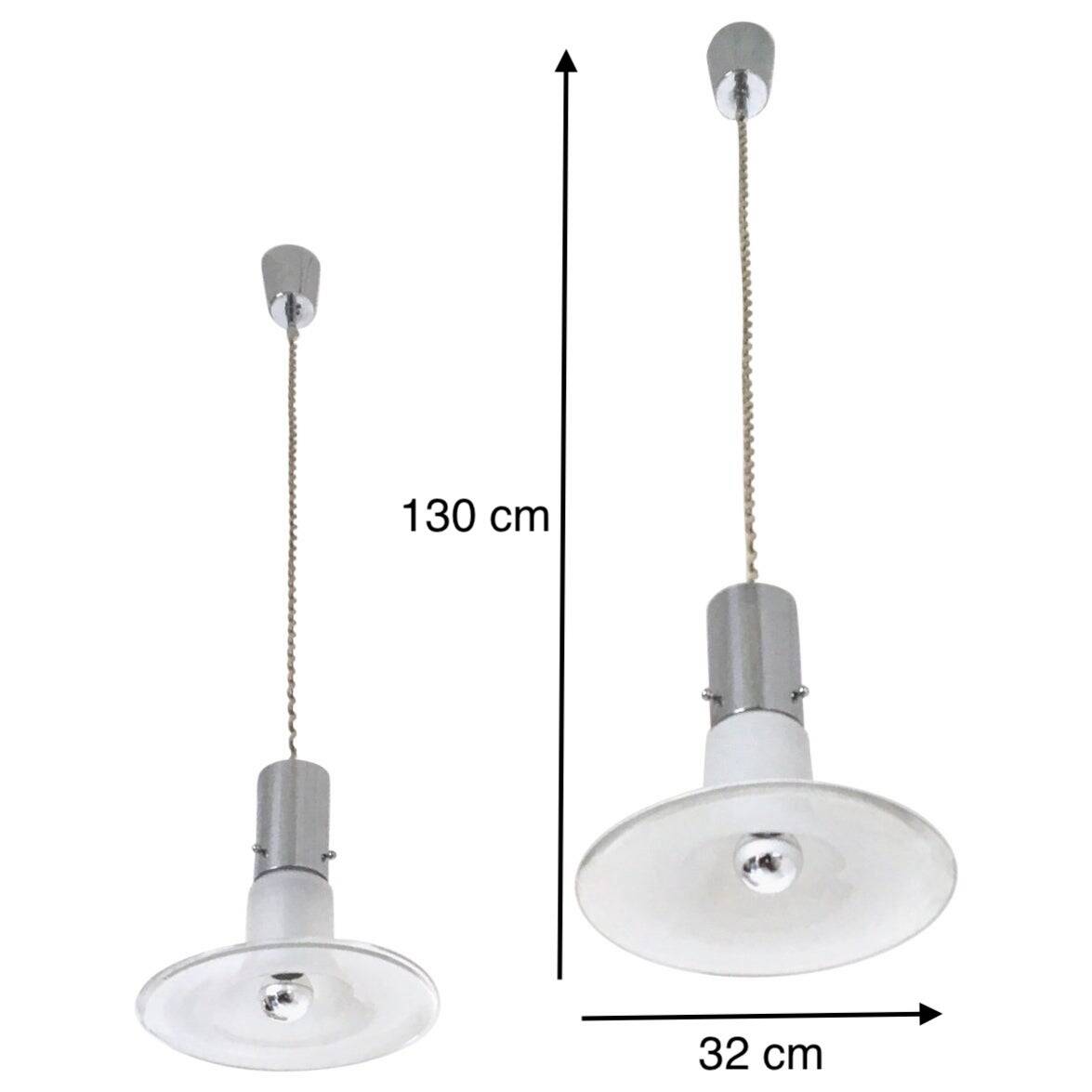 Pair of Murano Glass Pendants attr. to Alessandro Pianon for Vistosi