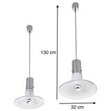 Pair of Murano Glass Pendants attr. to Alessandro Pianon for Vistosi