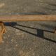 Pair of oak farmhouse benches 150 cm