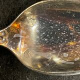 12-spoon silver metal shell