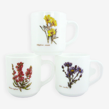 3 mugs en opale et verre trempé - décor botanique - Arcopal France - vintage années 80