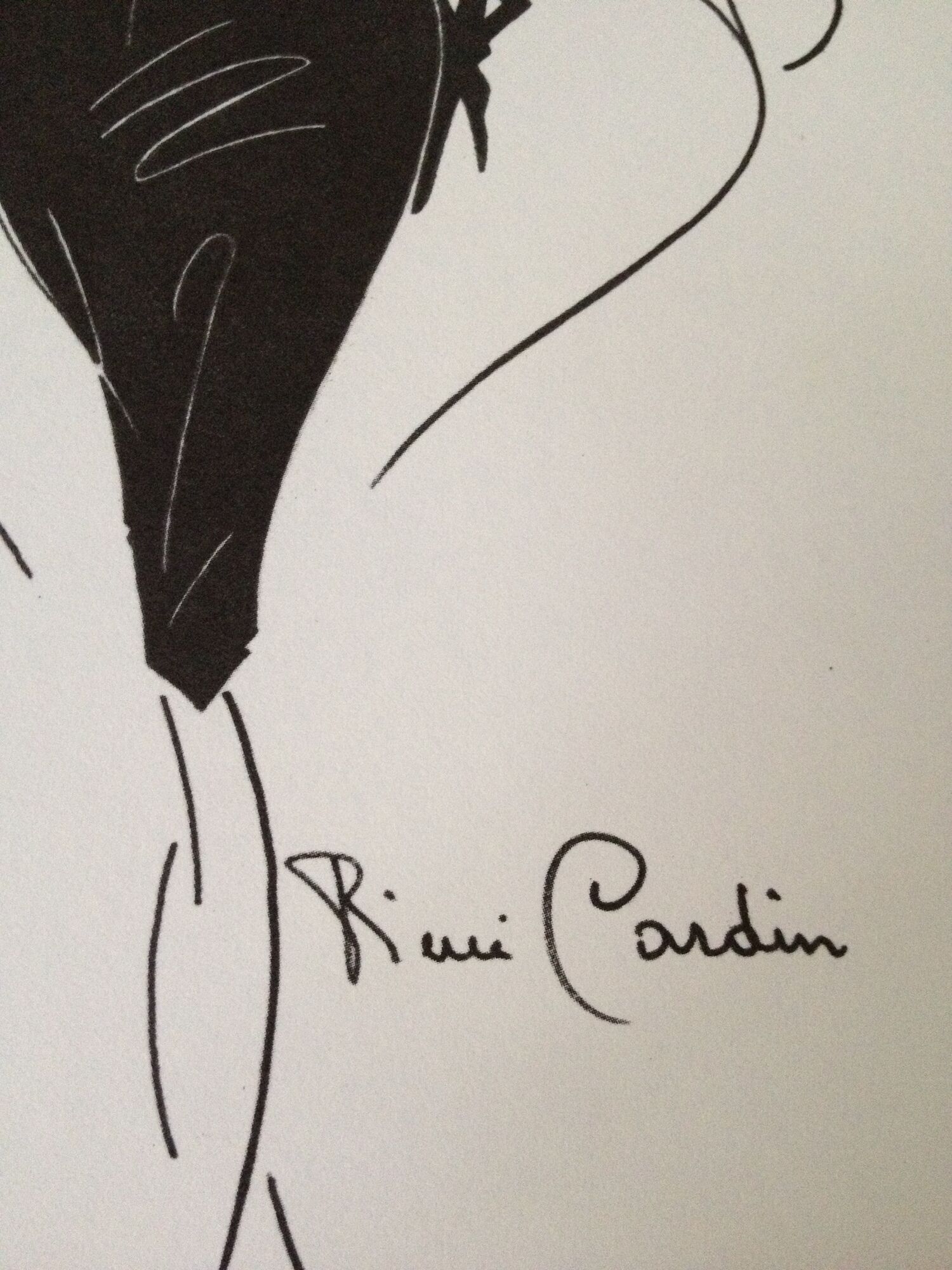 Nice press fashion illustration Pierre Cardin of the 90s
