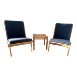 Set of 2 easy chairs by Karl Erik Ekselius, Sweden