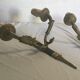 Pair of bronze sconces Empire