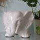 Cache pot éléphant vintage