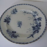 Set of two ripe plates