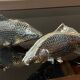 Pair of vintage fish mail holders in silver metal