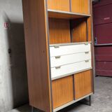 Vintage EFA bookcase and shelves by Georges Frydman