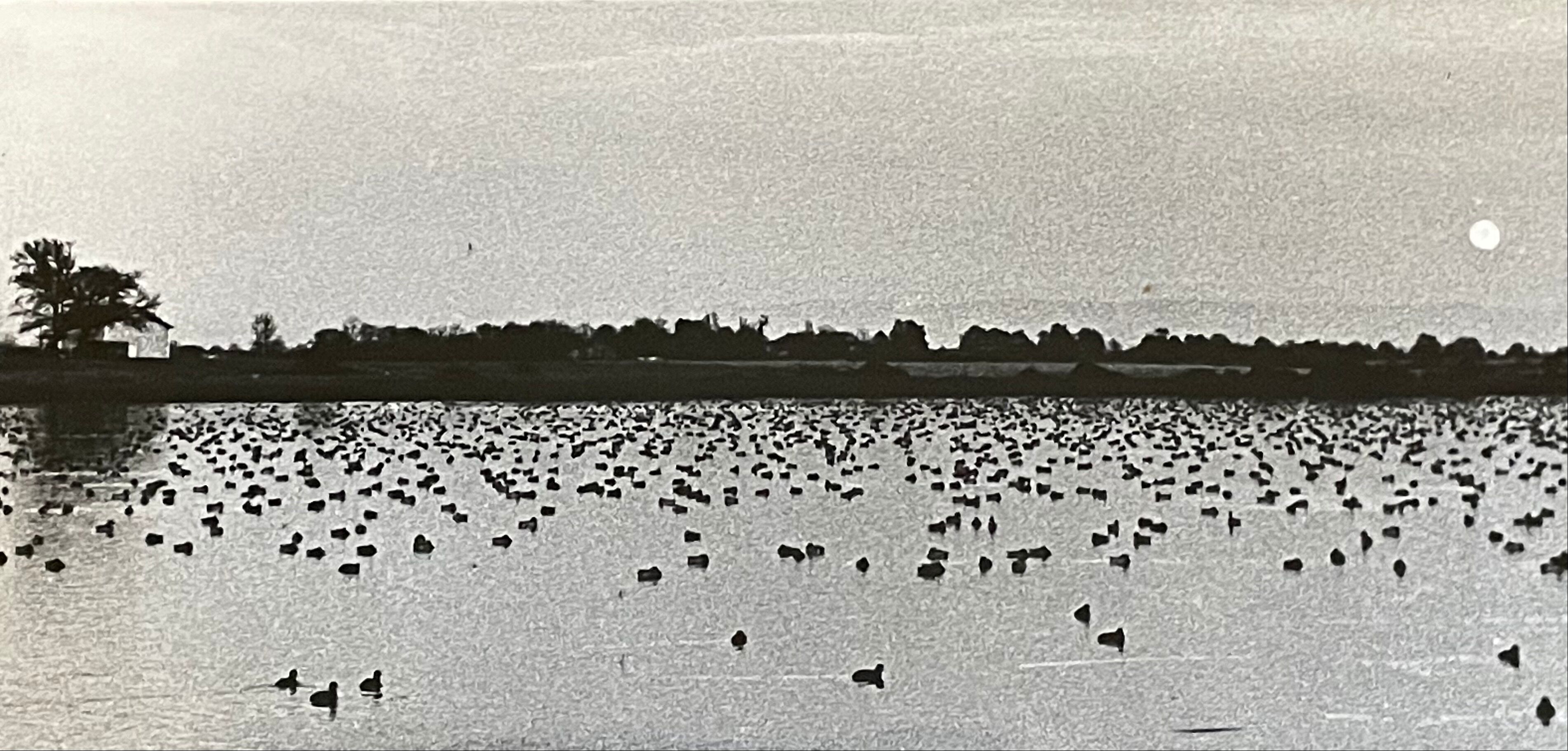 Photography silver print black and white circa 1970 sunset