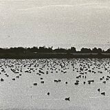 Photography silver print black and white circa 1970 sunset