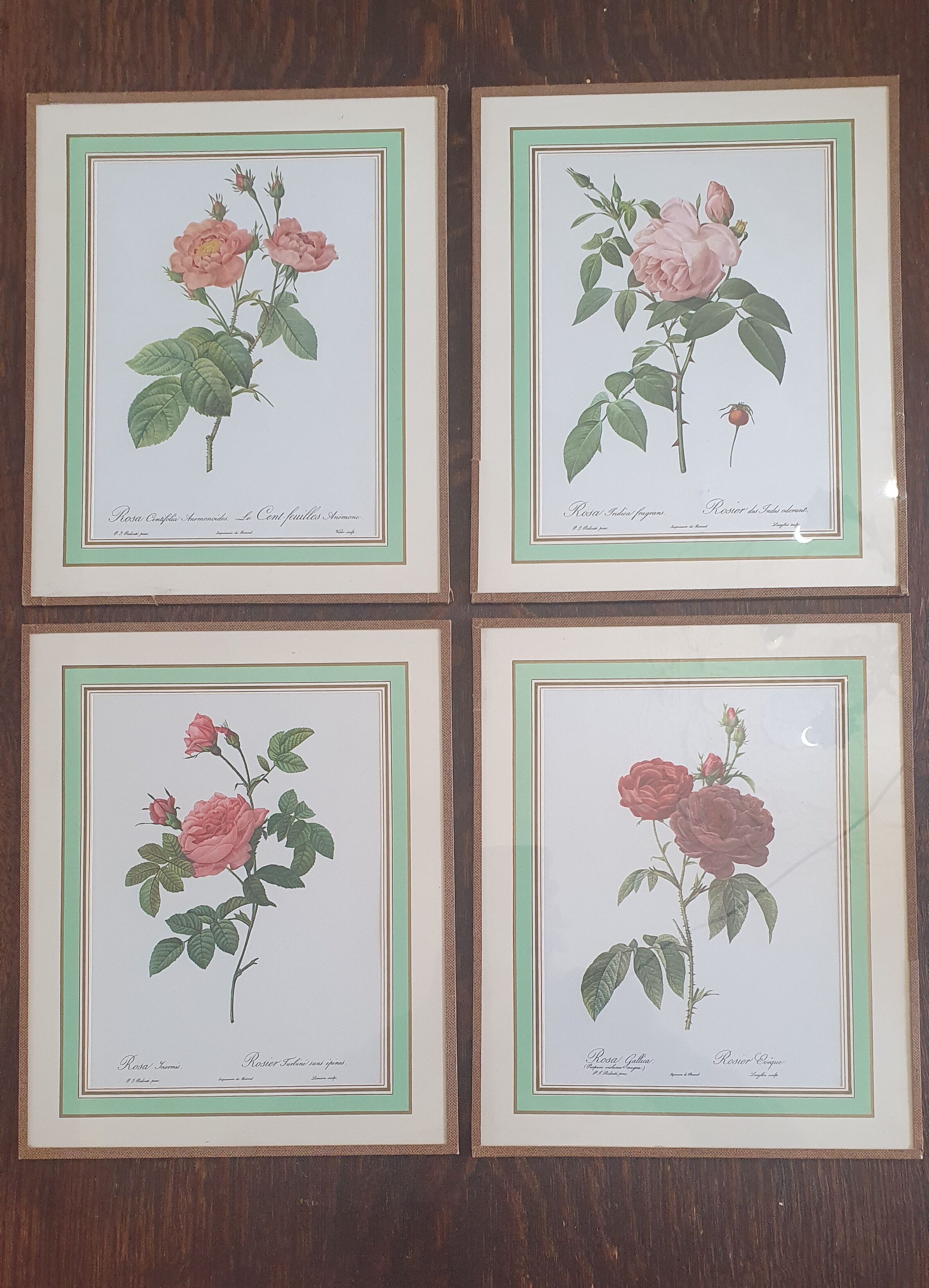 Set of 4 prints after P J Redoute